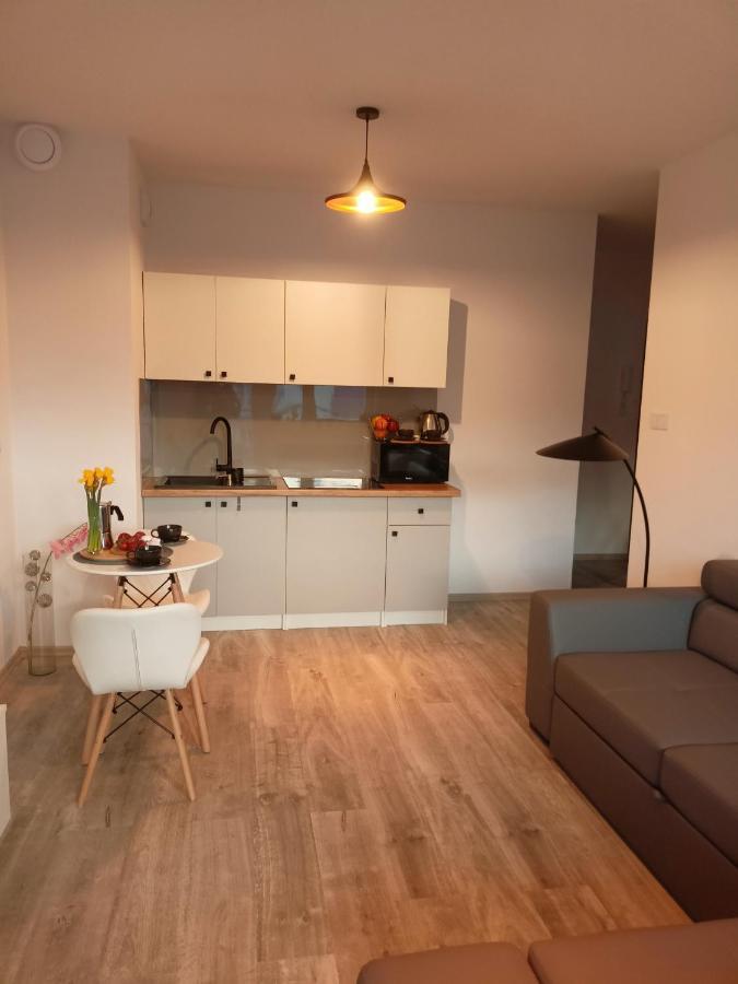 Apartament Z Sauna I Jacuzzi Lägenhet Radom Exteriör bild